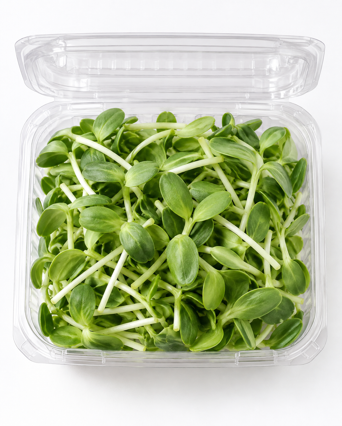 Sunflower Microgreens