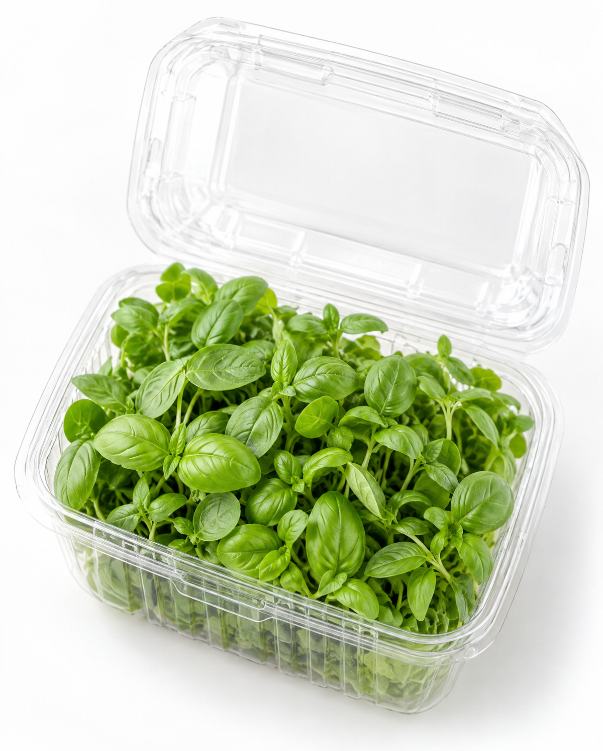 Basil Microgreens
