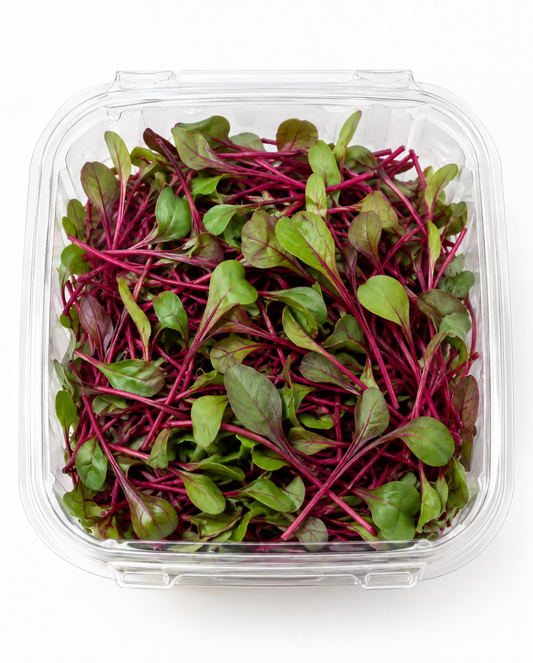Beet Microgreens