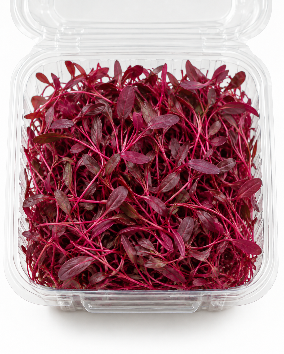 Beets Without the Dirt Microgreens