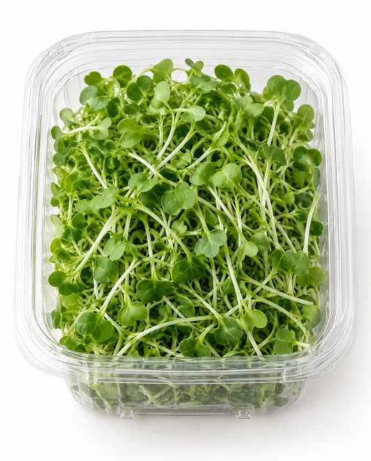 Broccoli Microgreens