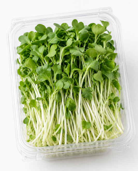 Daikon Microgreens