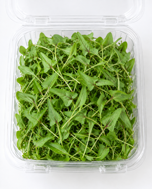 Lemon Zest Microgreens