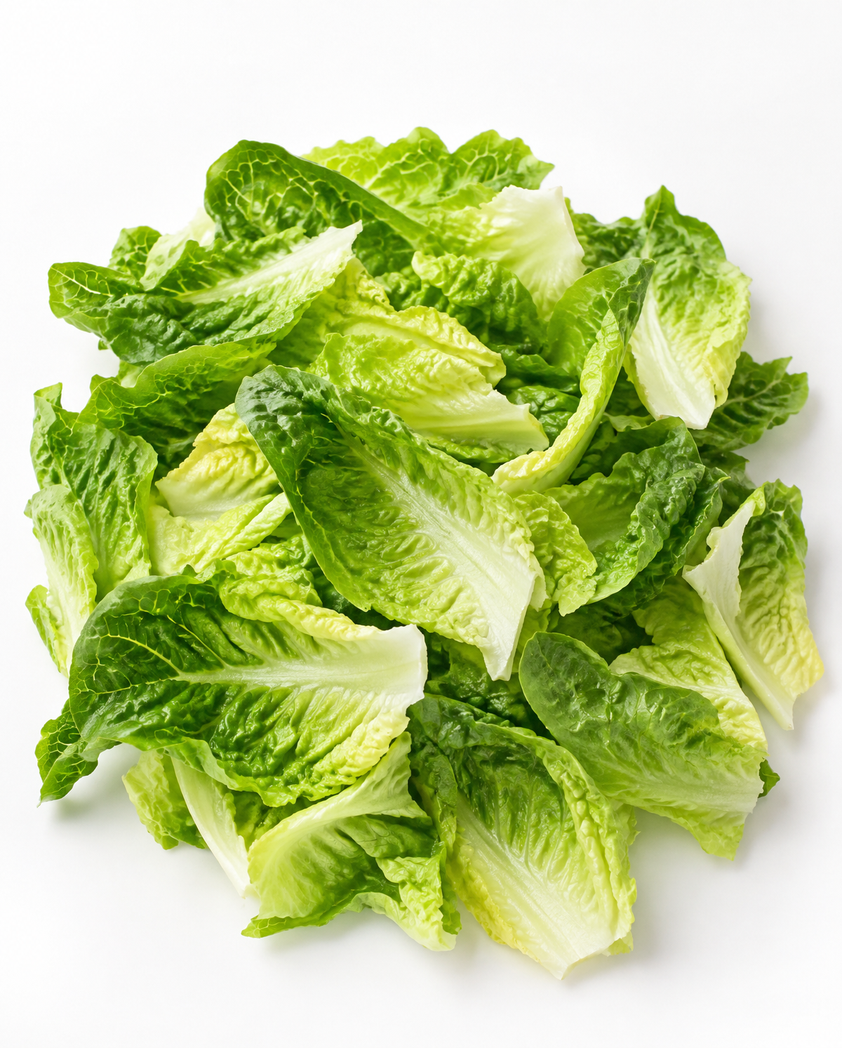 Romaine