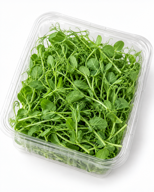 Pea Shoot Microgreens