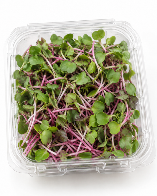 Radish Microgreens